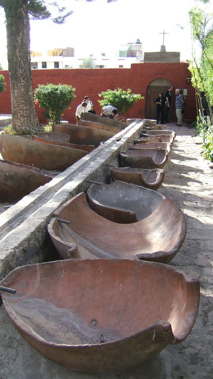 Album - Arequipa et Canyon de Colca