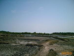 Album - Dakar-Casamance