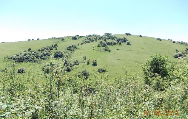 Un petit tour en montagne. ********