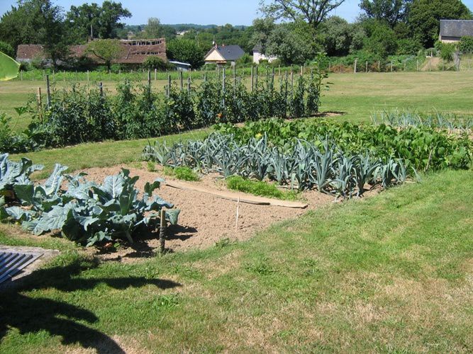 Quelques vues du jardin