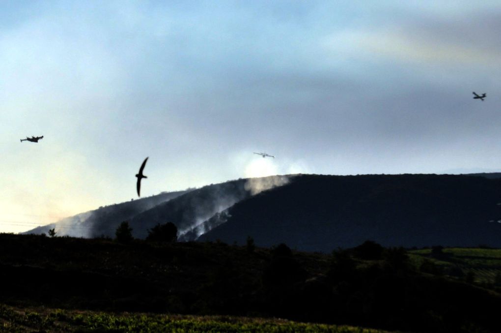 Diaporama feu du 21 juin 2016