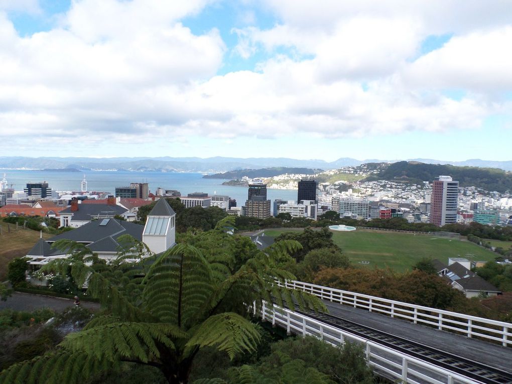 Wellington la venteuse, la ville de l'art