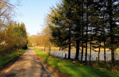 la Forêt de Laigue