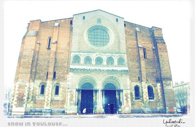 Photos de Toulouse sous la neige en couleur