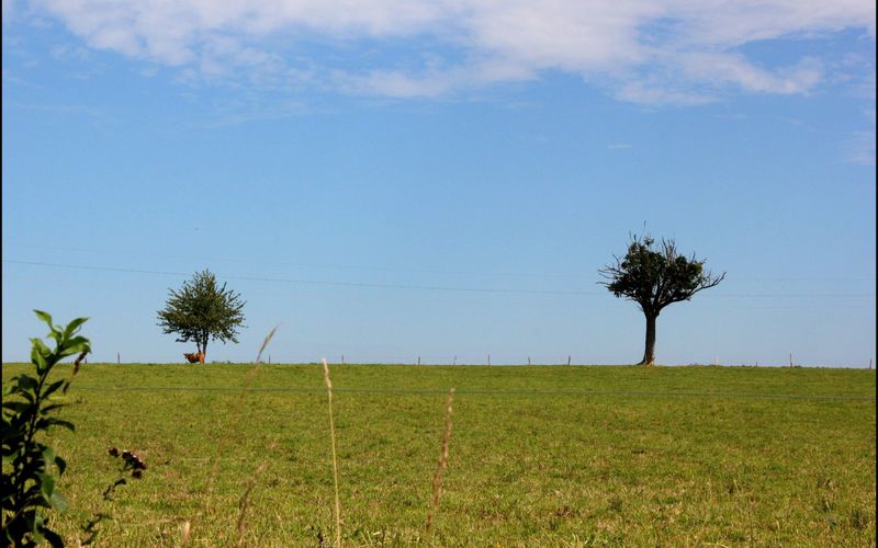 ANJOU (Campagne et ciel Angevin)