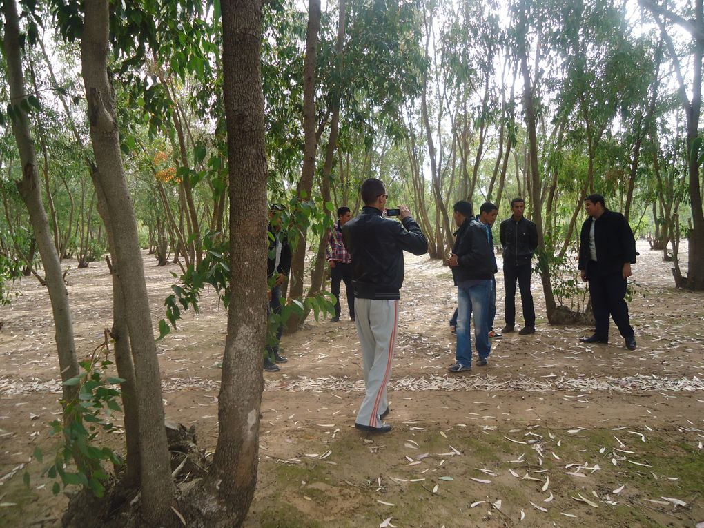 Album - Excursion-du-25.03.2012