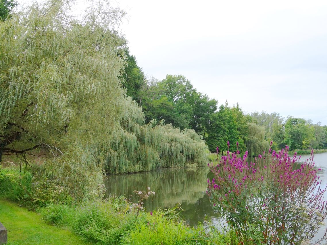 Lac de Christus, Saint-Paul-les-Dax ( Landes 40 ) AA