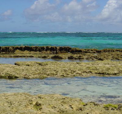 Martinique Mars 2005 - une variété de beaux points de vue