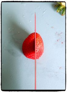 Fraisier, recette au thermomix