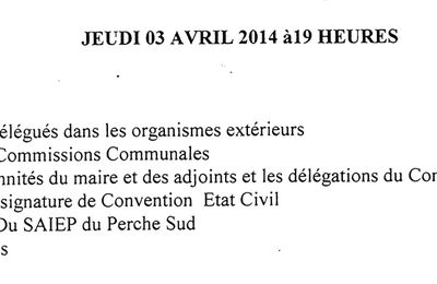 Jeudi 3 avril 2014 réunion du Conseil Municipal de Dame-Marie