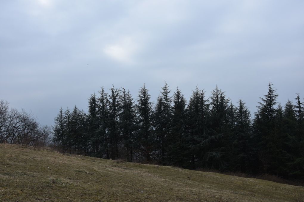 La ferme des Résistants à Curienne