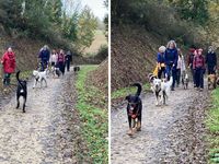 Randonnée canine de la vallée du &quot;Parfond de Gouët&quot;