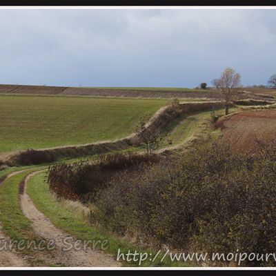 St Martin des Plains - le beau chemin qui méne à l'horizon (63) ...