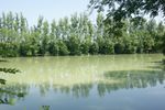 week end de pêche de la carpe dans un chalet à l'étang de l'écrevisse bleu à Roncenay ( près de Troyes )