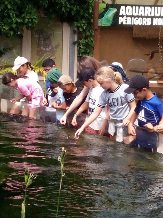 Voyage en Dordogne