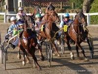 14 Novembre  2016  -   VINCENNES   C-2   TROT Attelé
