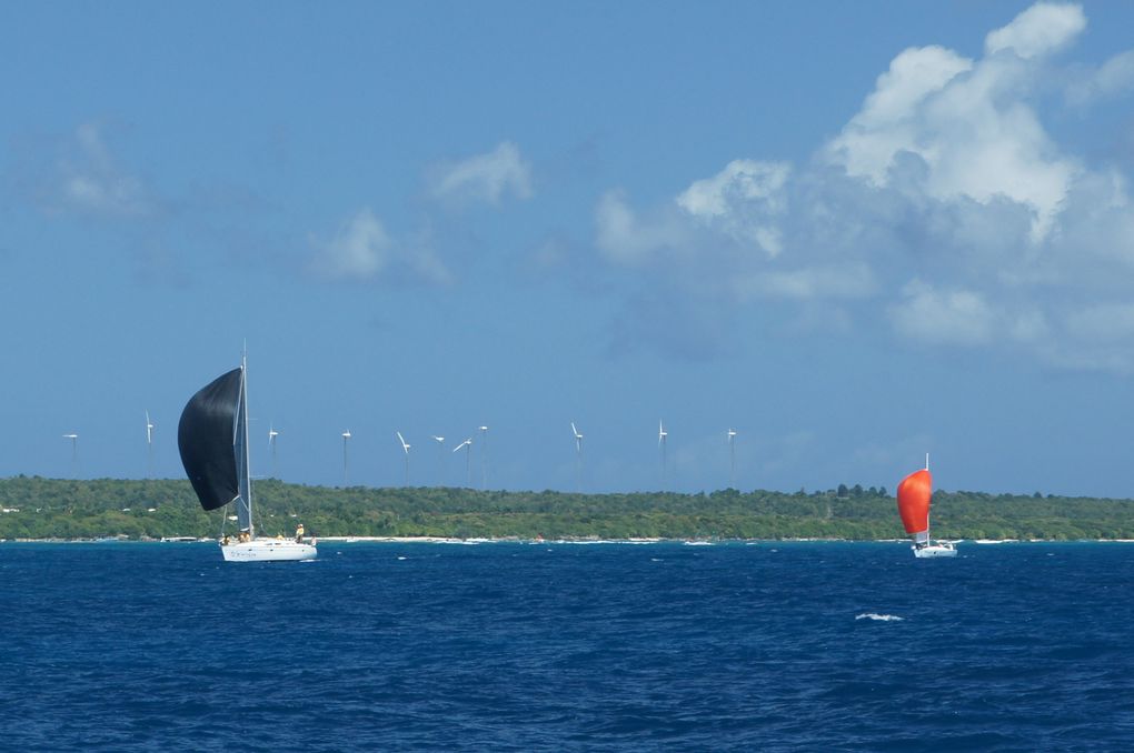 Album - Trophée-Open-Voile-de-St-Francois-2011