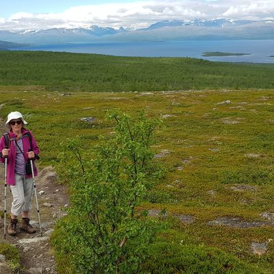 Abisko National Park suite