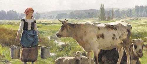LES PIEDS DE MOUTONS ET AUTRES .