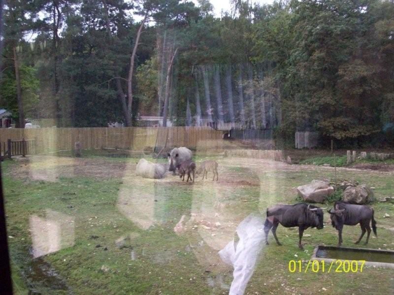 Partagez avec nous quelques-unes sorties réalisées cette année : Le bois de Creuse, la ferme d'antan, le parc de Thoiry, le voyage à Canterbury en Angleterre...