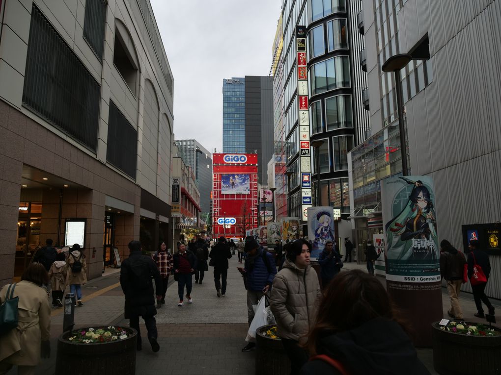 Les années passent, 9 ans déjà que j'ai vu pour la première fois Akiba et pourtant, sur ces 9 ans, j'ai vu le quartier changer, avec notamment la disparition notable du bâtiment Sega, remplacé par le GiGo...