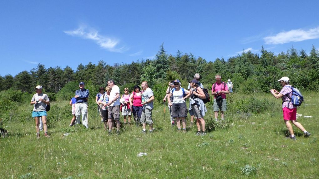 Le sentier tracé pour" le tacot" nous conduit sur des pelouses thermophiles