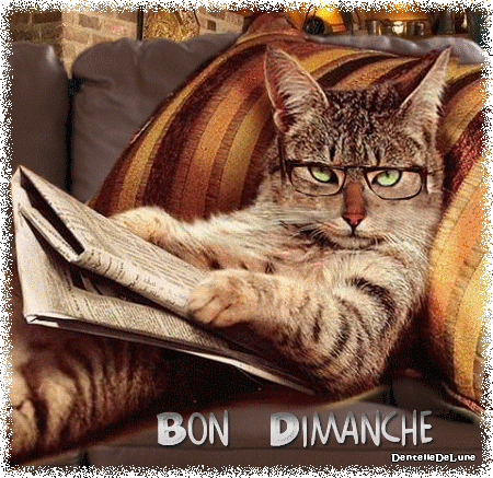 Bon Dimanche - gif - animé - chat zen