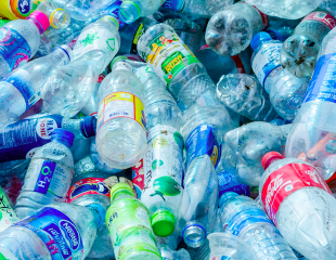 Toxic Traps: When These 7 Types of Plastic Are Dangerous