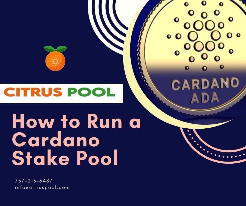 How To Receive Ada Expected Rewards Cardano Stake Pool