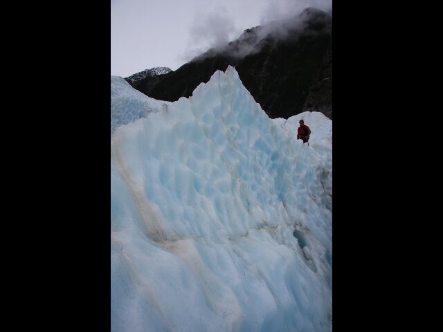 Album - FRANZ-JOSEF-GLACIER-NZ