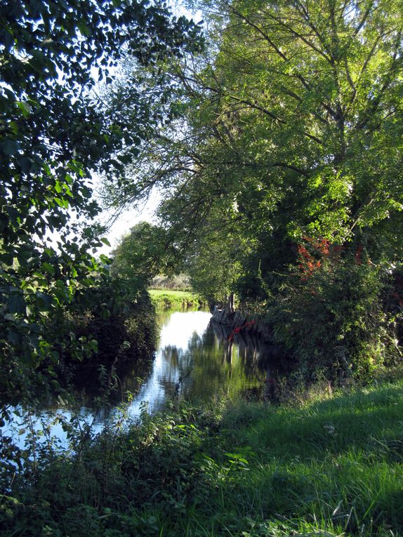 balades à vélo