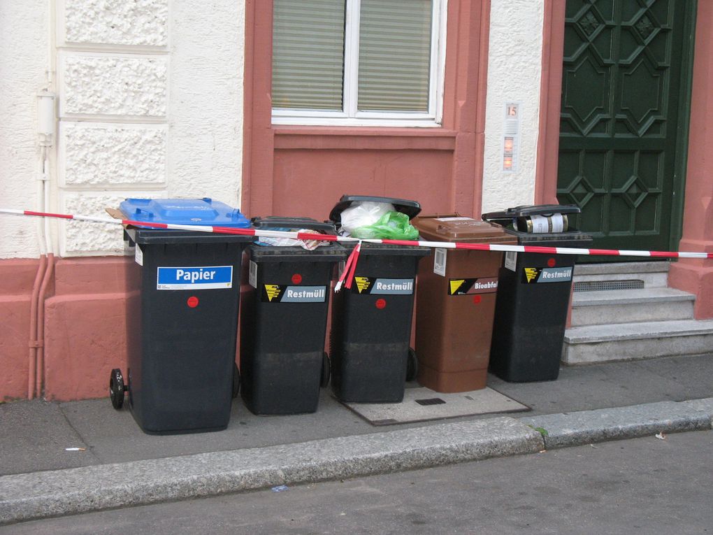 initiatives et réalisations en matière d'écologie urbaine