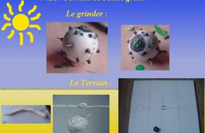 WIP : grinder et terrain de beach grind