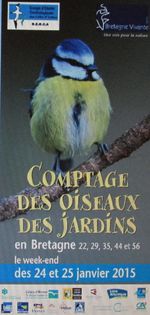 23 & 24 Janv. 2015 : 7e COMPTAGE DES OISEAUX DE JARDINS