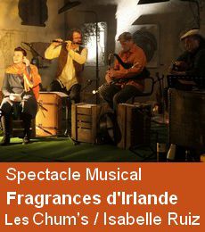 Spectacle Musical - l'Irlande