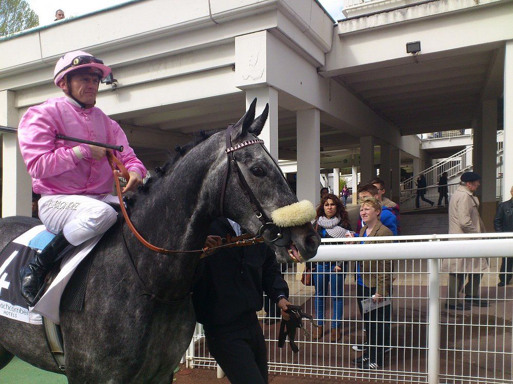 Album - 20120429-LONGCHAMP