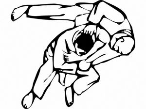 Que peut-on dire du sport de Judo