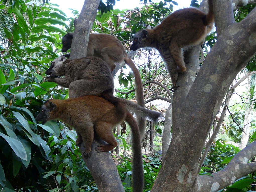 Album - Mayotte