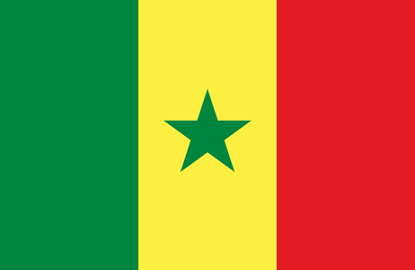 COUPE D'AFRIQUE DES NATIONS 2015