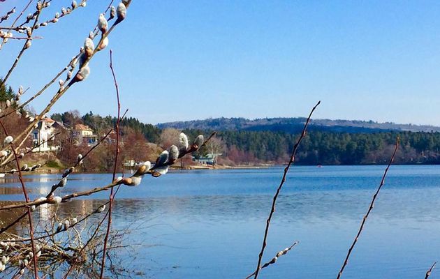 Printemps autour du lac.