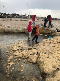 La pêche à pied