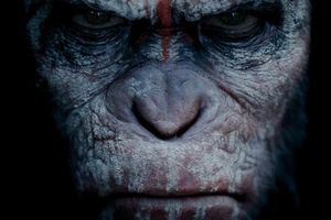 La Planète Des Singes : L'Affrontement, découvrez la bande annonce !