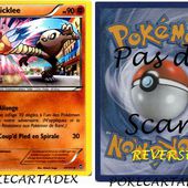 SERIE/XY/POINGS FURIEUX/41-50/47/111 - pokecartadex.over-blog.com