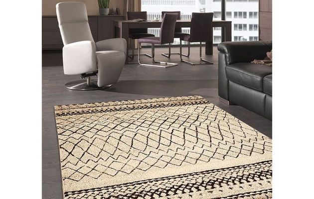 Tapis moderne pas cher la redoute