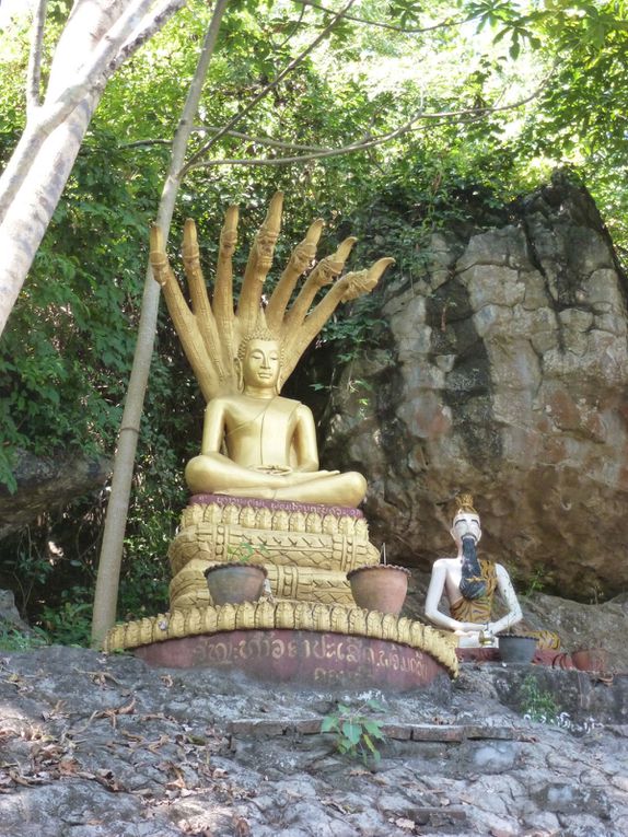 Et voilà les photos du Laos. Comme vous pourrez le voir, les paysages sont variés et nombreux