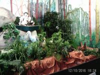 Le jardin enchanté - Le monde de nos forêts