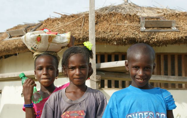 Toits de typha à l’école Soxna Beye | @scoopit...