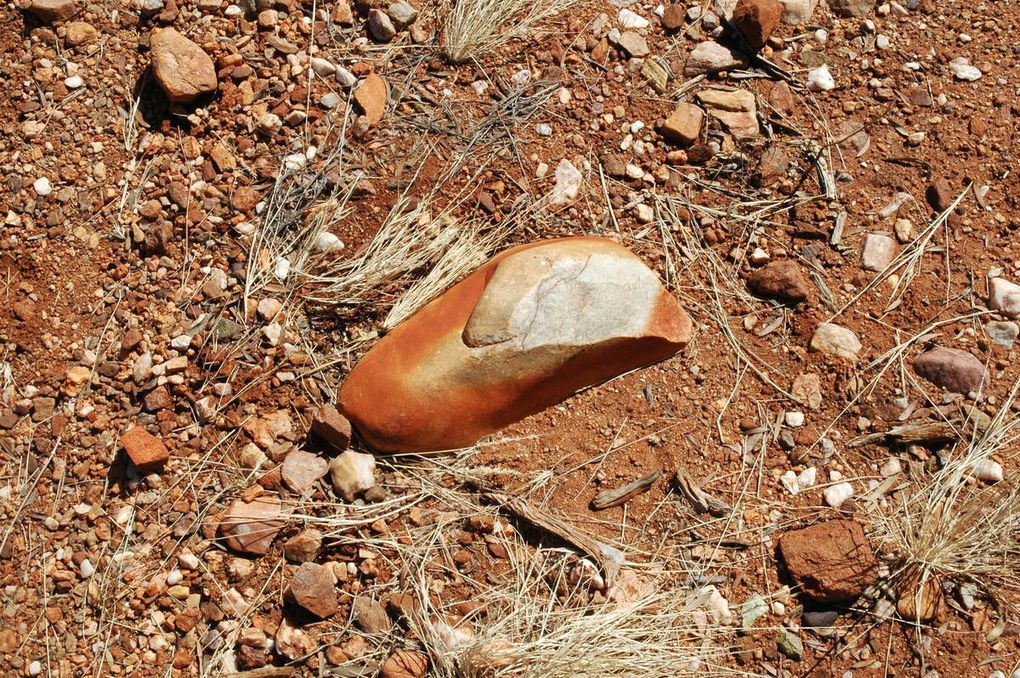 et aux alentours se trouve un sentier de randonnée (environ 45min), voyez la saison sèche dans l'outback / and around is a hiking trail (about 45min), see the dry season in the outback!