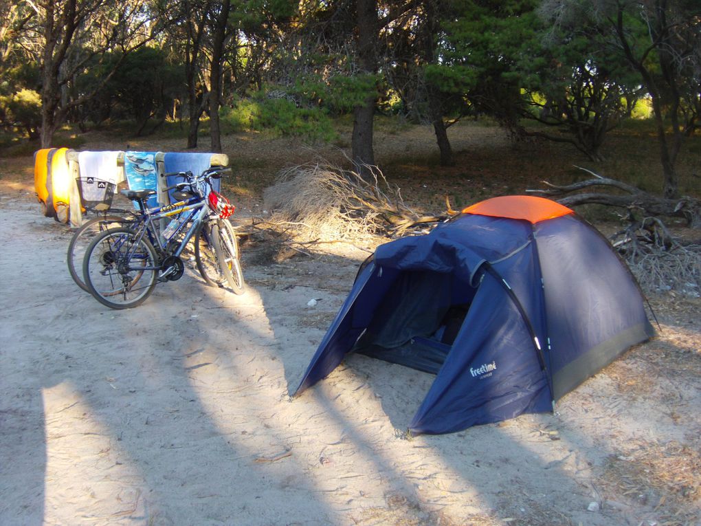 Album - Rottnest Island (Australie)