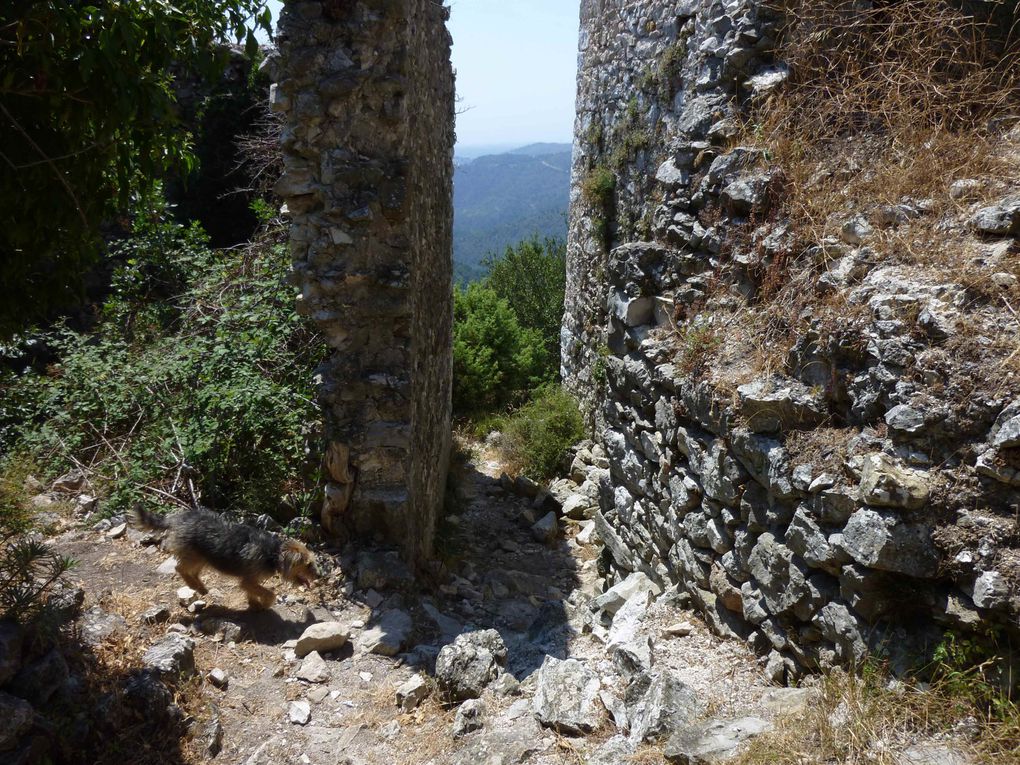 Le 14 août 2012, une balade avec Lucy dans les ruines de Châteauneuf-Villevieille.